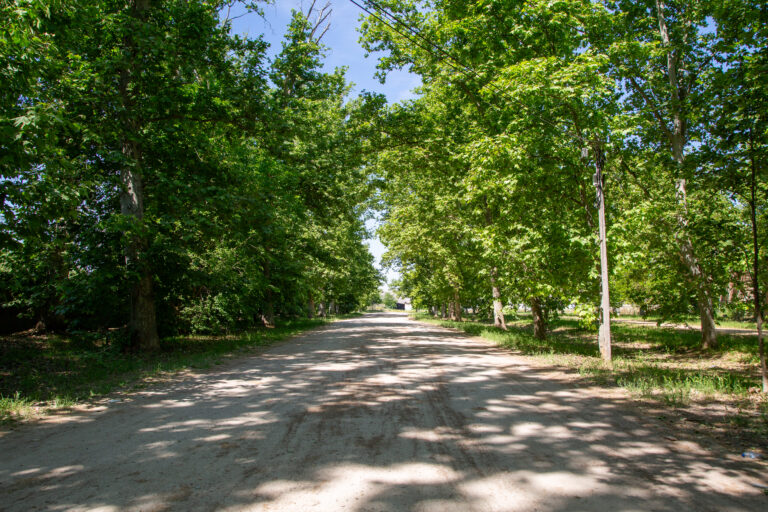 Calle de Guardias Walonas Siglo XVIII.