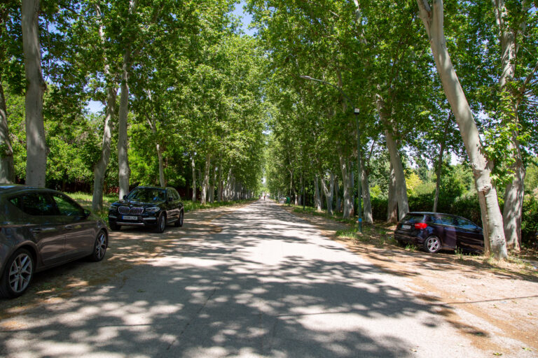 Calle de Madrid. Siglo XVI.