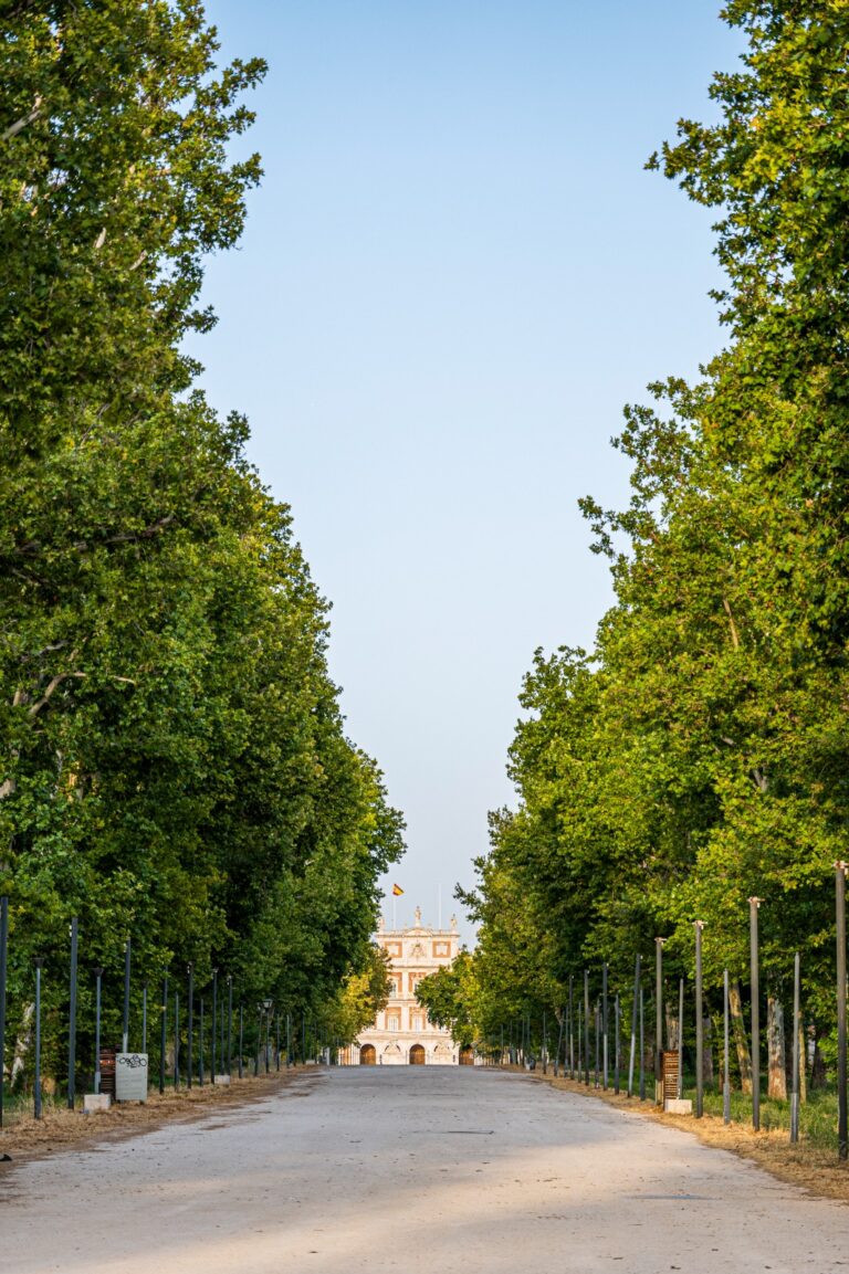 Plaza de Coroneles