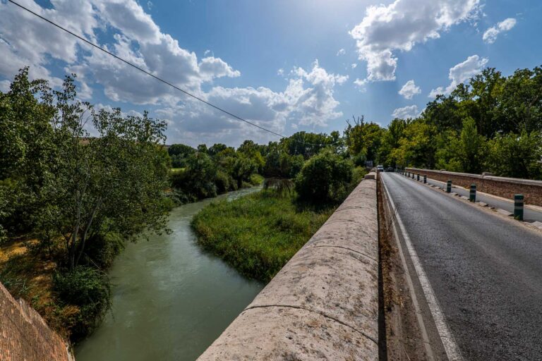 Puente de la Reina